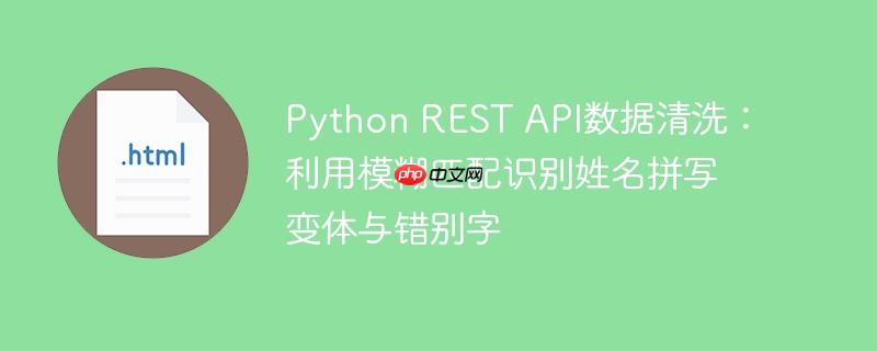 Python REST API数据清洗：利用模糊匹配识别姓名拼写变体与错别字