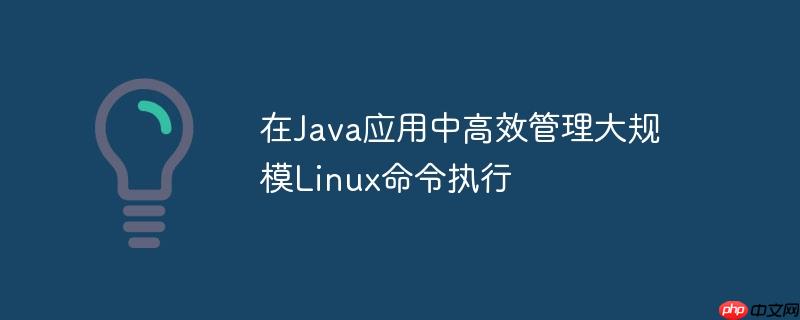 在Java应用中高效管理大规模Linux命令执行