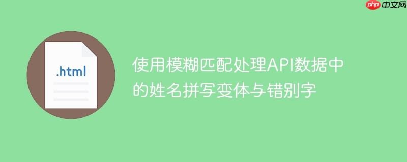 使用模糊匹配处理API数据中的姓名拼写变体与错别字