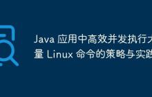 Java 應(yīng)用中高效并發(fā)執(zhí)行大量 Linux 命令的策略與實(shí)踐