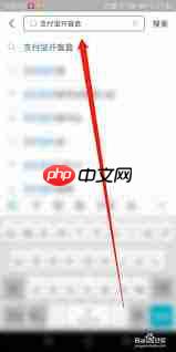 如何开支付宝喜茶饮品盲盒