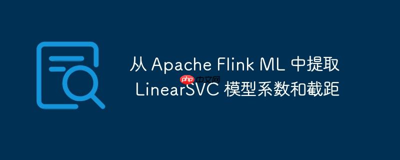 从 Apache Flink ML 中提取 LinearSVC 模型系数和截距