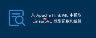 从 Apache Flink ML 中提取 LinearSVC 模型系数和截距