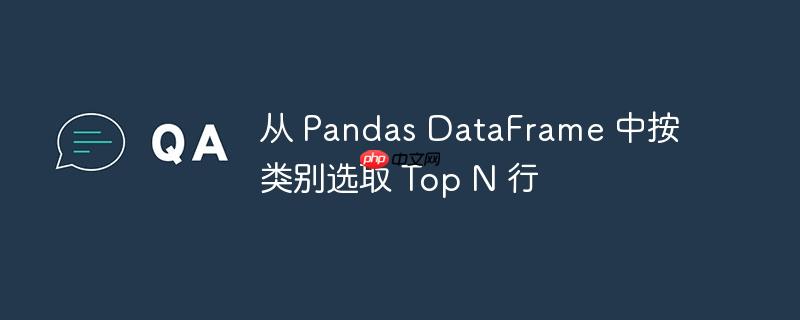 从 pandas dataframe 中按类别选取 top n 行