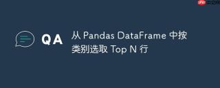 从 Pandas DataFrame 中按类别选取 Top N 行