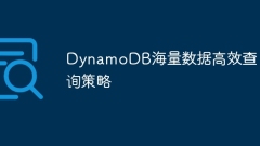 DynamoDB's massive data efficient query strategy