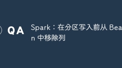 Spark: Remove columns from beans before partition writing