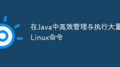 Efficiently manage and execute a large number of Linux commands in Java