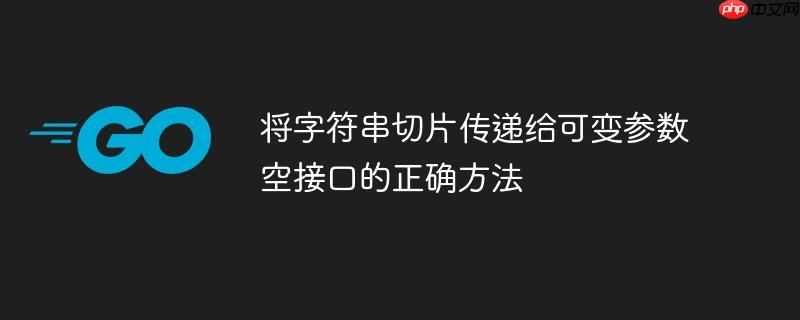 将字符串切片传递给可变参数空接口的正确方法