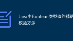 Accurate verification method for Boolean type value in Java