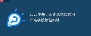 Java中基于正则表达式的用户名字段校验实践