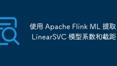Extract LinearSVC model coefficients and intercepts using Apache Flink ML