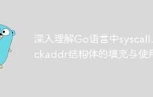 深入理解Go语言中syscall.Sockaddr结构体的填充与使用