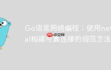 Go语言网络编程：使用net.Dial构建可靠连接的规范方法