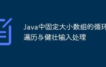 Java中固定大小數(shù)組的循環(huán)遍歷與健壯輸入處理