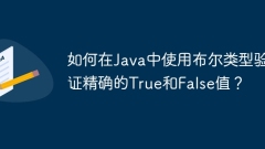 How to validate exact True and False values using boolean types in Java?