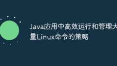 Strategies for efficiently running and managing a large number of Linux commands in Java applications