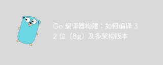Go 編譯器構建:如何編譯 32 位(8g)及多架構版本