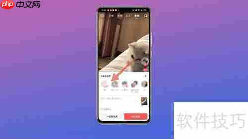 群发技巧全解析