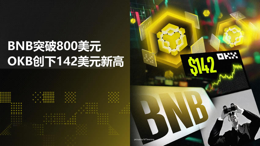 CEX代币突破：BNB突破800美元，OKB创下142美元新高