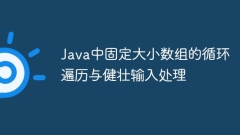 Loop traversal and robust input processing of fixed-size arrays in Java