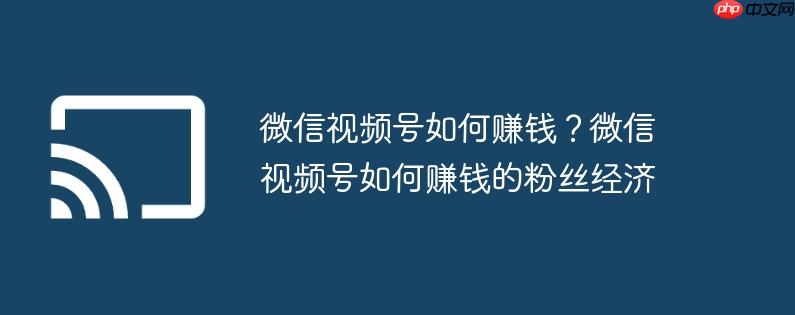 微信视频号如何赚钱?微信视频号如何赚钱的粉丝经济