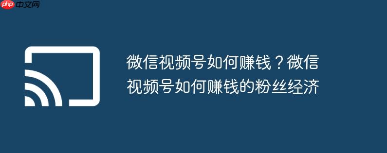 微信视频号如何赚钱？微信视频号如何赚钱的粉丝经济