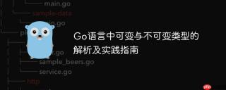 Go语言中可变与不可变类型的解析及实践指南
