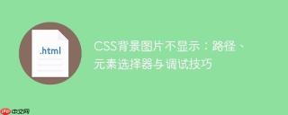 CSS背景图片不显示：路径、元素选择器与调试技巧