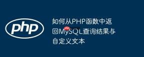 如何从PHP函数中返回MySQL查询结果与自定义文本