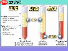 贫血是因为身体血液量少吗