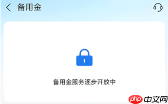 支付宝备用金逐步开放中,需要多久呀?要看无法服务的原因