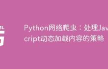 Python网络爬虫：处理JavaScript动态加载内容的策略