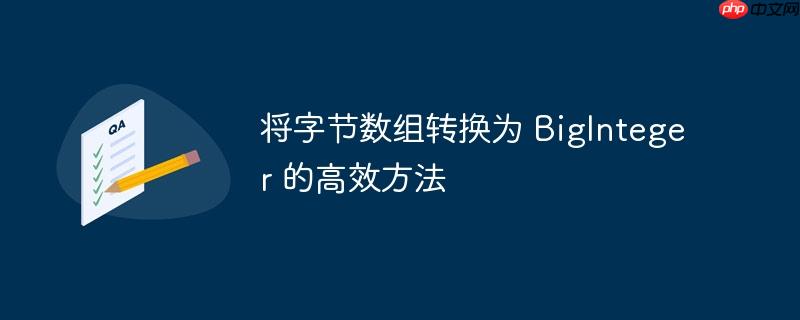 将字节数组转换为 biginteger 的高效方法