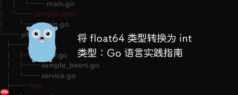 将 float64 类型转换为 int 类型：go 语言实践指南