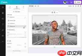 canva可画免费版 canva可画换背景使用教程