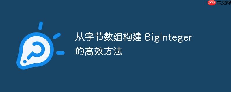 从字节数组构建 BigInteger 的高效方法-小浪学习网