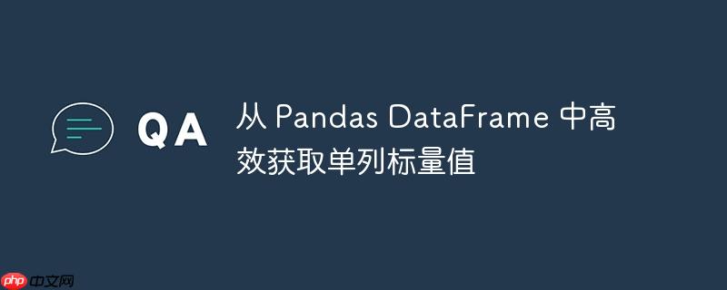 从 pandas dataframe 中高效获取单列标量值