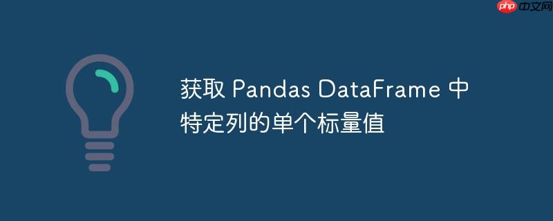 获取 Pandas DataFrame 中特定列的单个标量值-小浪学习网