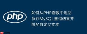 如何从PHP函数中返回多行MySQL查询结果并附加自定义文本