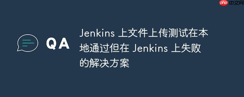jenkins 上文件上传测试在本地通过但在 jenkins 上失败的解决方案