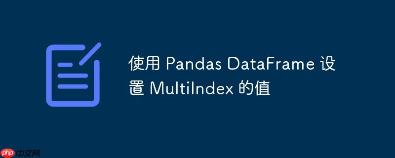使用 pandas dataframe 设置 multiindex 的值