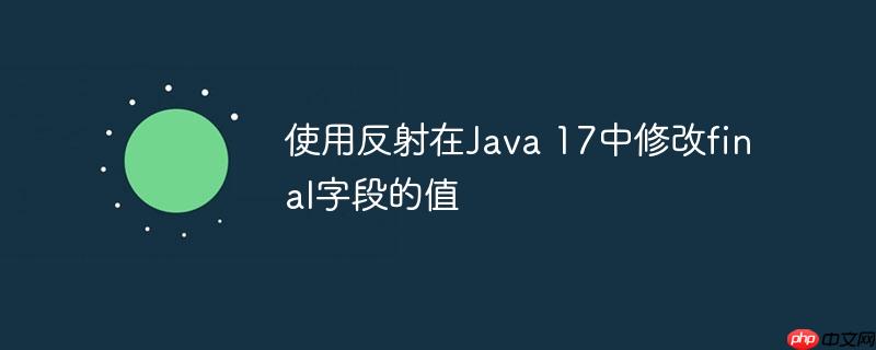使用反射在java 17中修改final字段的值
