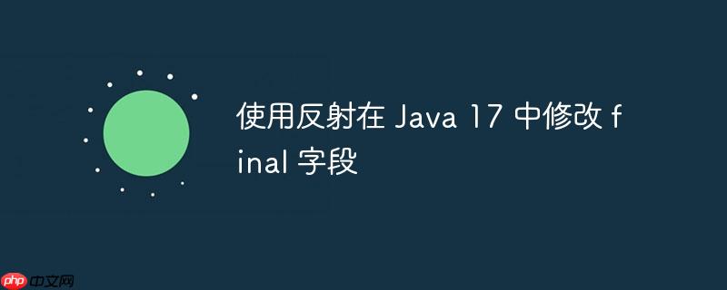 使用反射在 Java 17 中修改 final 字段-小浪学习网