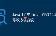 Java 17 中 final 字段的反射修改方法探究