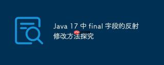 Java 17 中 final 字段的反射修改方法探究