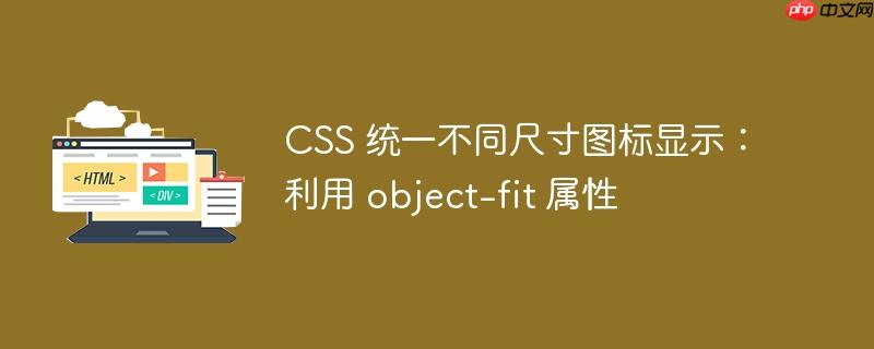 css 统一不同尺寸图标显示：利用 object-fit 属性