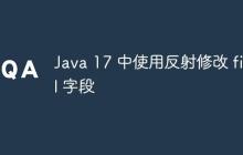 Java 17 中使用反射修改 final 字段