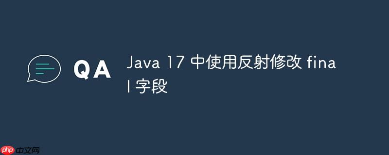 Java 17 中使用反射修改 final 字段-小浪学习网