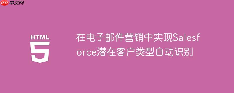 在电子邮件营销中实现Salesforce潜在客户类型自动识别-小浪学习网